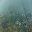 Green mountain